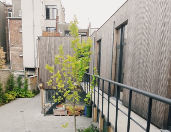 totaal verbouwing Deurne